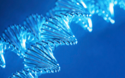 金昌BRCA基因檢測(cè)多少錢及相關(guān)信息