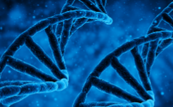 汕頭BRCA1/2基因檢測機構