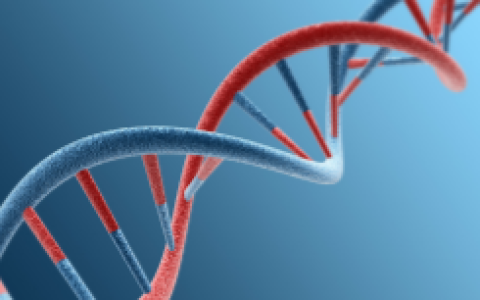 廣元HER2檢測費(fèi)用多少？9家專業(yè)機(jī)構(gòu)推薦及流程詳解