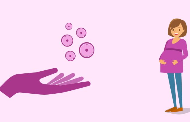 試管嬰兒成功率的影響因素,如何提升試管成功率