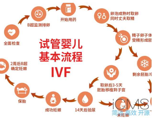 試管嬰兒流程詳解：六大步驟，從診斷到成功懷孕