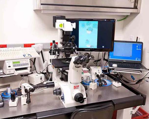 南加州生育中心（SCRC）