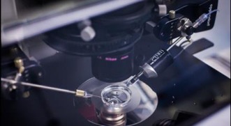 馬來西亞阿爾法助育中心（Alpha）