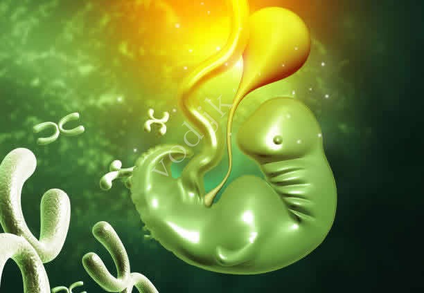 廣東三代試管價格表是怎樣的？高齡試管費用高嗎？