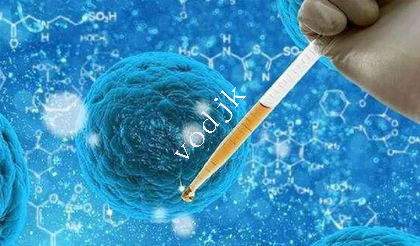 泰國(guó)三代試管嬰兒的費(fèi)用多高??！成功率大概多少？