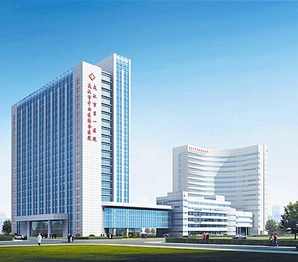 武漢市中西醫(yī)結(jié)合醫(yī)院（武漢市第一醫(yī)院）