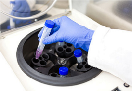 靠譜！東莞市15家優(yōu)質(zhì)親子鑒定機(jī)構(gòu)匯總（附2026年地址信息）